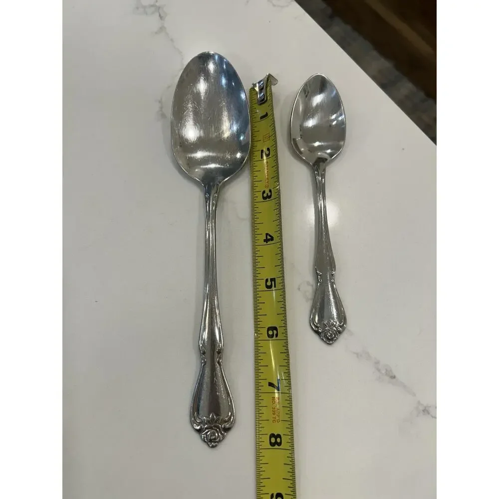 Vtg Oneida ARBOR ROSE/TRUE ROSE Stainless 1881 Rogers Ltd Serving & Small‎ Spoon